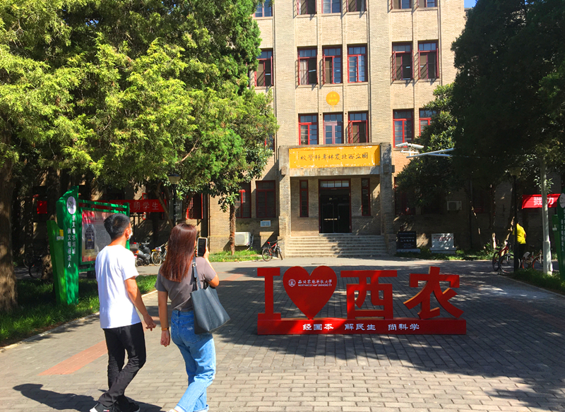 baf9424c92fd4f09a33682bbec4438ba.png QQ图片20200910122646.png