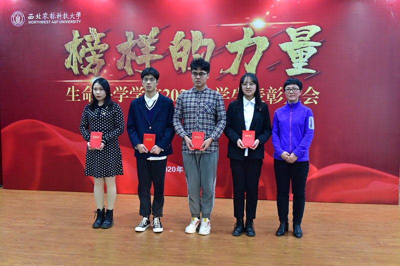 3f9e58909ca64b2da8333a098b49f827.jpg DSC_5436_副本.jpg
