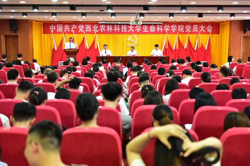 303ffc13de6f425e8a0f1538caee47da.jpg 303ffc13de6f425e8a0f1538caee47da.jpg