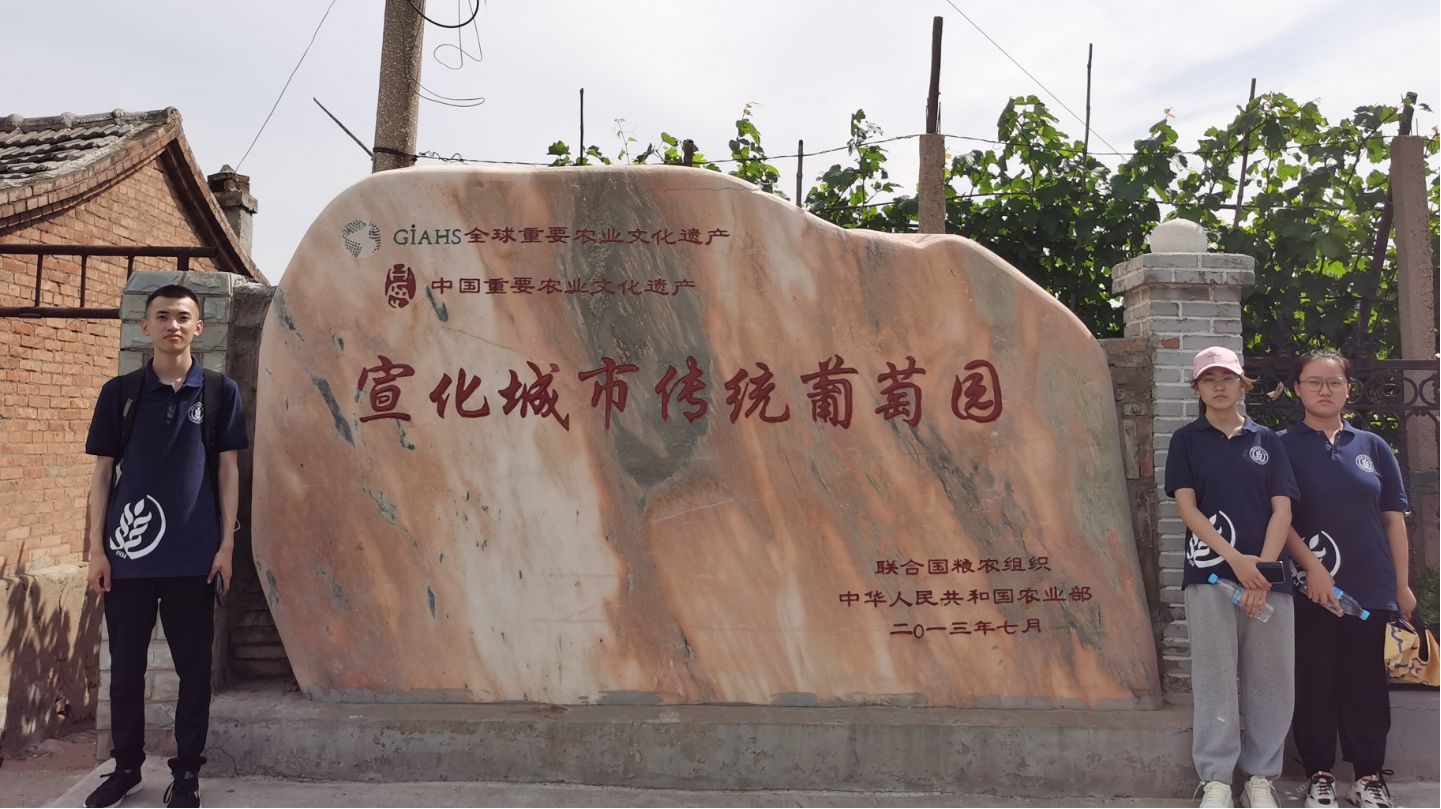 605e5cfbaf1a4c77b86a6aa0b7be8c83.png 605e5cfbaf1a4c77b86a6aa0b7be8c83.png