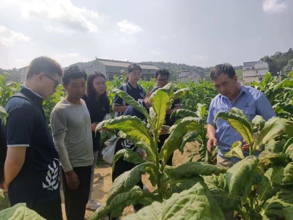 b2f72df4117e43d4ac704a4481160574.jpg 图11 图为王师傅给同学们和烟农讲解知识.jpg